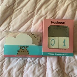 Pusheen Box Calendar + Key Holder